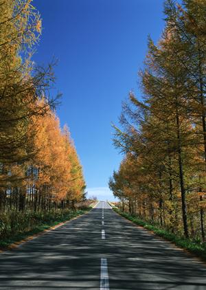 さいたまで評判のいい中古車販売店は