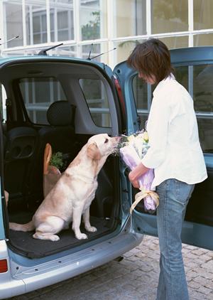 「車検大手のサービス比較完全ガイド：費用から信頼性まで徹底解説」