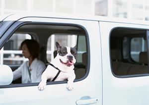 愛知で軽自動車が欲しいならここ