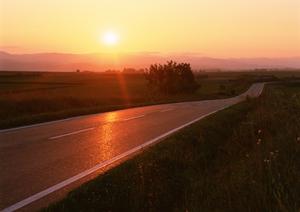 安心・安全な車検を実現!コストパフォーマンス抜群の車検対策と選び方
